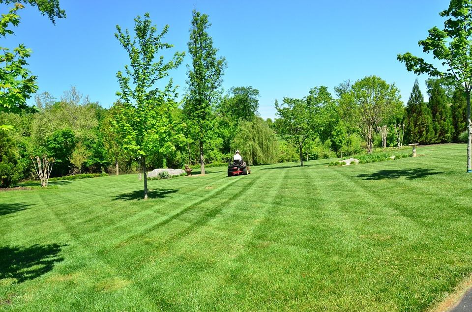 Expansive residential property showcasing healthy weed-free lawn treatments