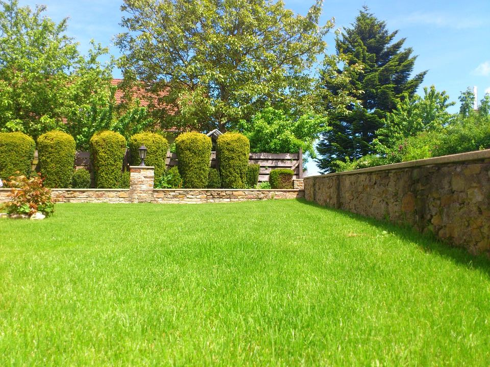 Thick, healthy turfgrass lawn and perimeter landscaping after seasonal care