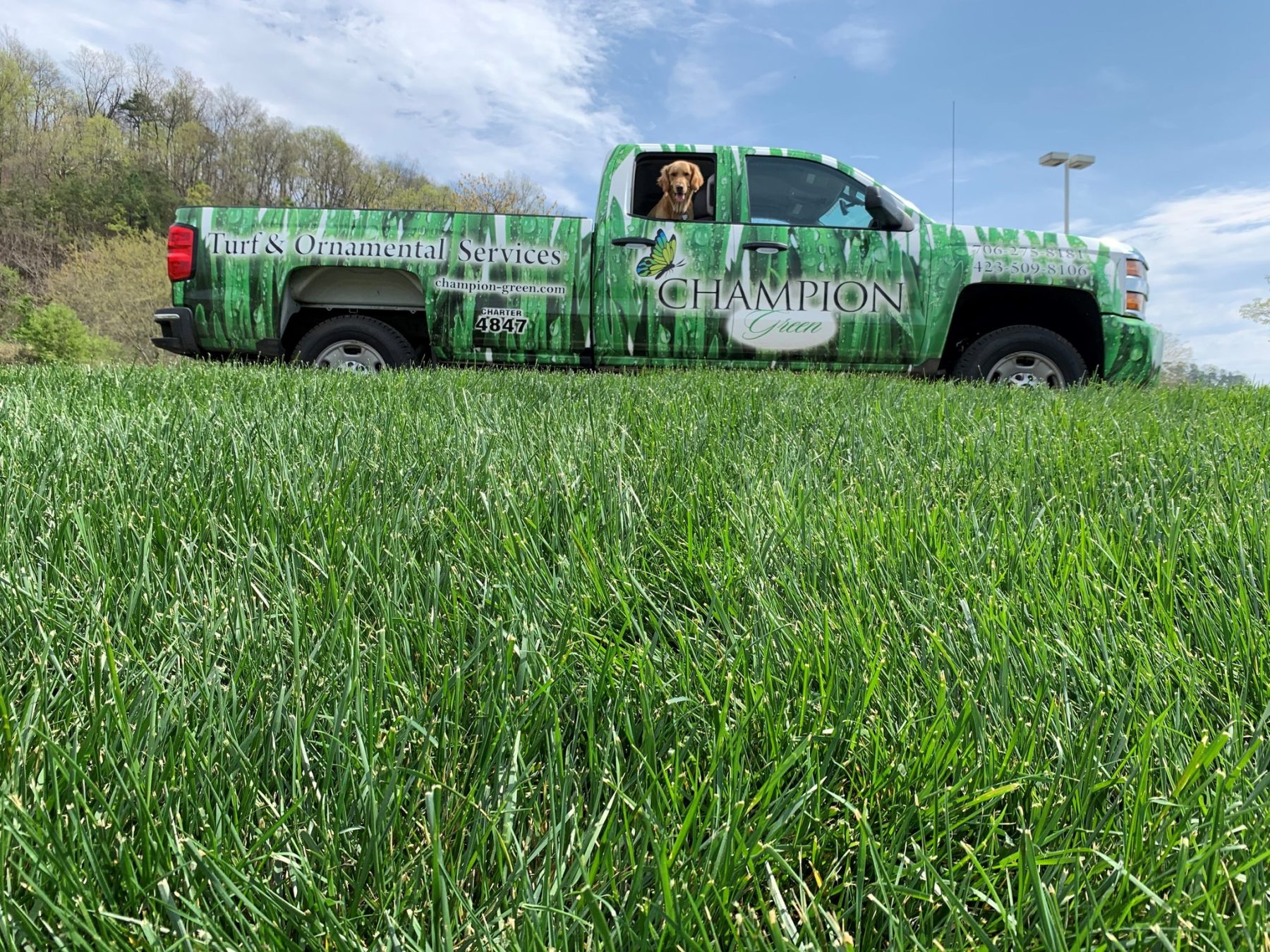 Champion Green branded service truck parked next to a lush lawn treated with professional lawn care in Dalton GA
