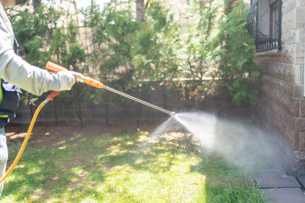 Champion Green technician applying targeted lawn pest control in Dalton GA on a grass lawn