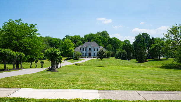 lawn care chattanooga tn