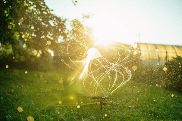 lawn care services in Tennessee and Georgia