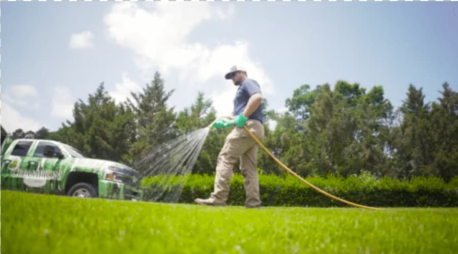 spraying