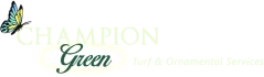 champion green logo